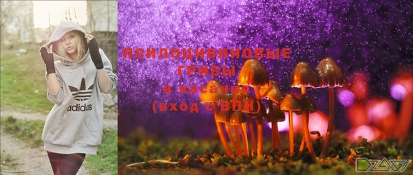 ECSTASY Балабаново
