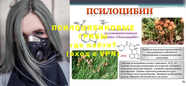 трава Балахна