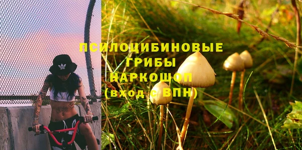 трава Балахна